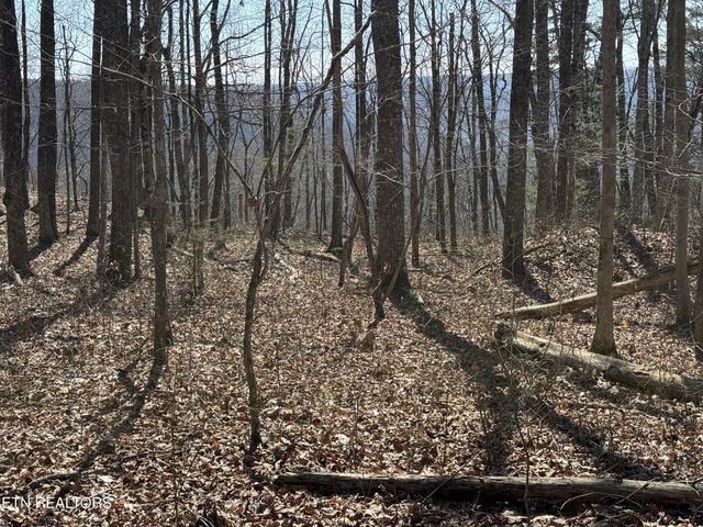 0 Cumberland Cove Rd, Monterey, TN 38574