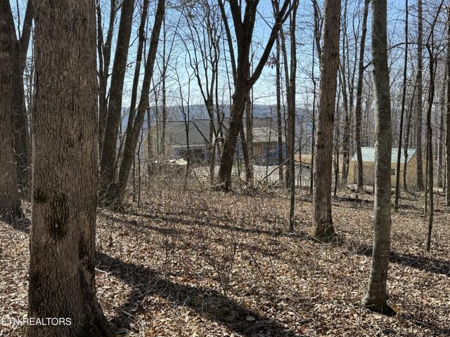 0 Cumberland Cove Rd, Monterey, TN 38574