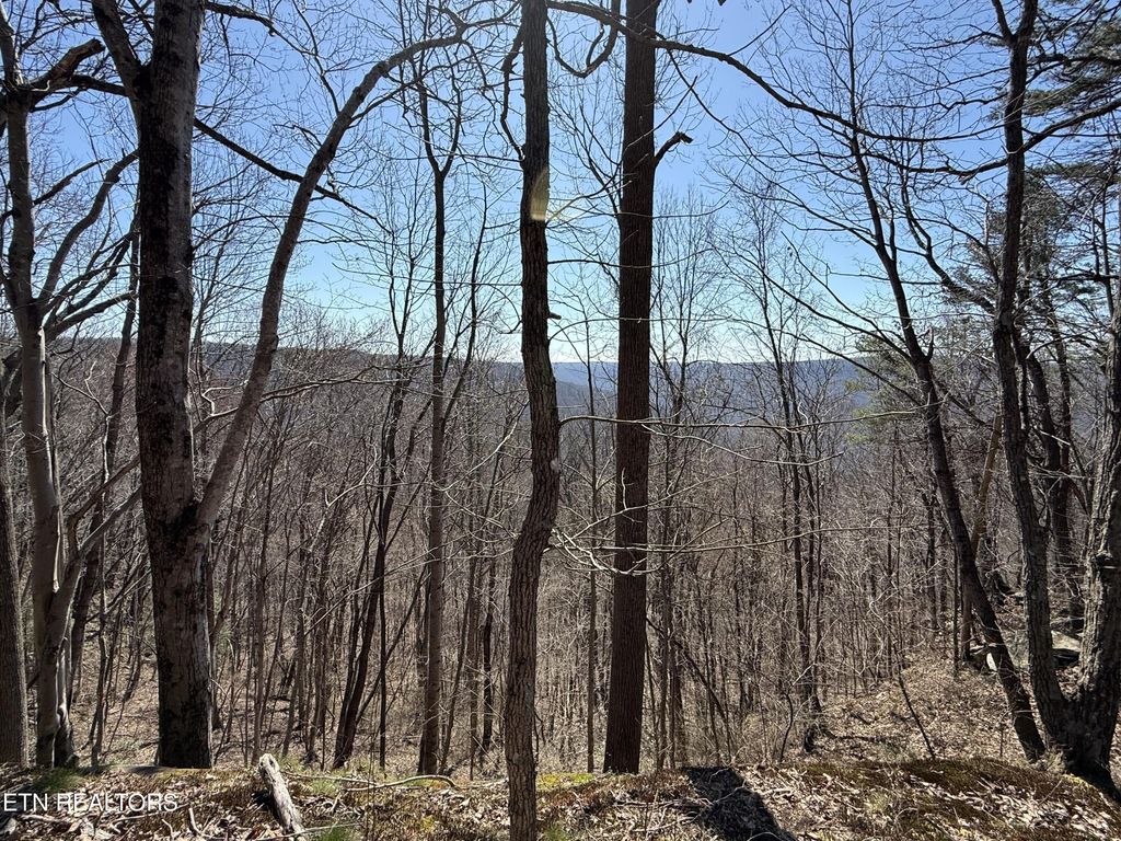 0 Cumberland Cove Rd, Monterey, TN 38574