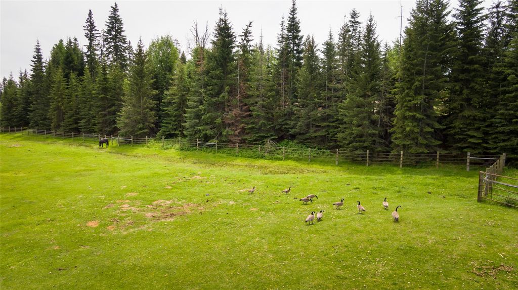 280 Shady Lane, Bigfork, MT 59911 photo 29