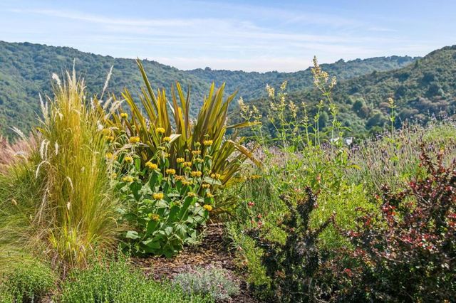 27690 Central Drive, Los Altos Hills, CA 94022
