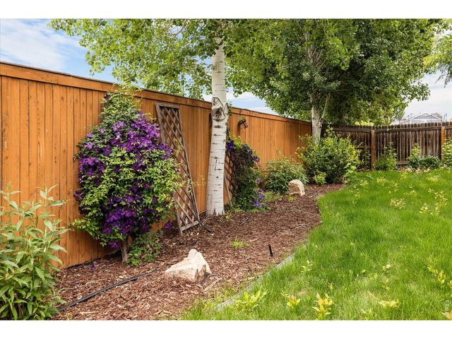 8145 Raspberry Dr, Frederick, CO 80504