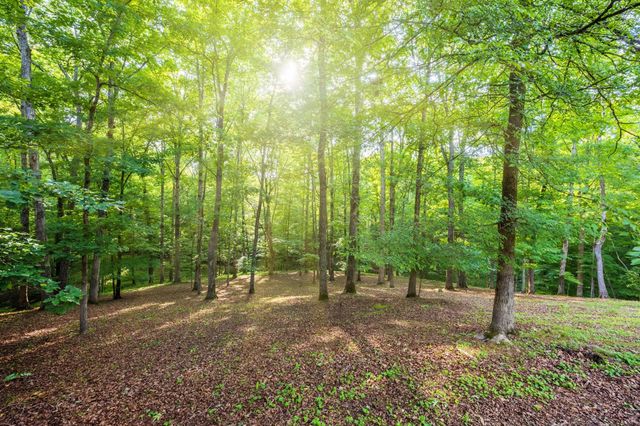 175 Litchfield Lane, NW, Cleveland, TN 37312
