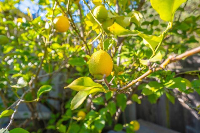 18117 Berta Canyon Road, Salinas, CA 93907