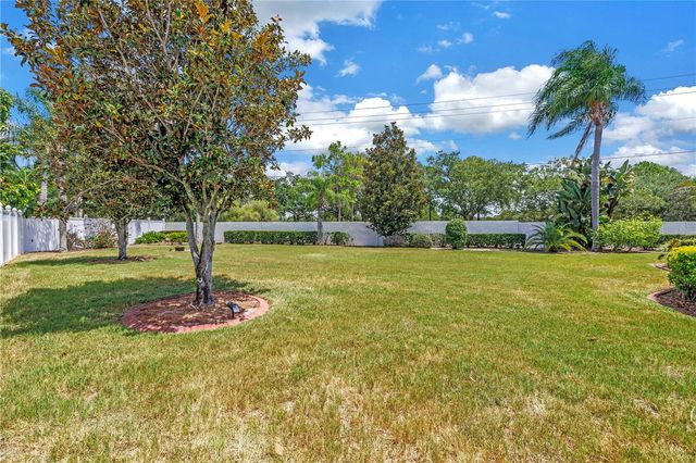 10127 VISTA POINTE DRIVE, Tampa, FL 33635