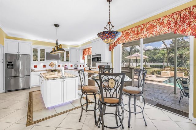 10127 VISTA POINTE DRIVE, Tampa, FL 33635