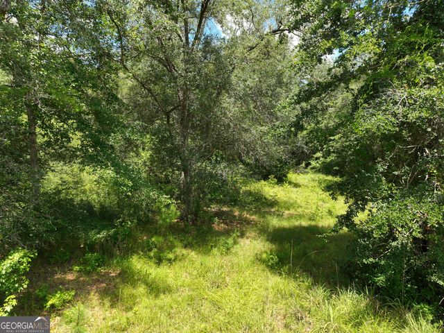 0 Waverly Lane, White Oak, GA 31568