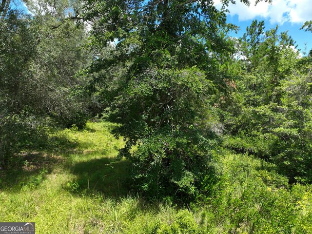 0 Waverly Lane, White Oak, GA 31568