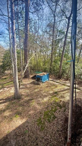 21173 Shakey Hollow, Conroe, TX 77306