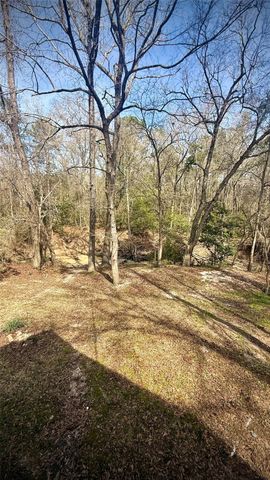 21173 Shakey Hollow, Conroe, TX 77306