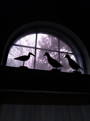 222 Quaker Drive, Friendswood, TX 77546