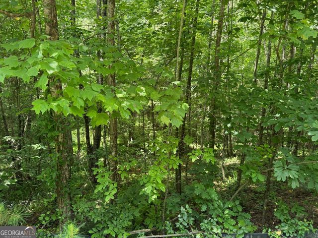 LOT E9 Reece Mountain Road, Ellijay, GA 30536