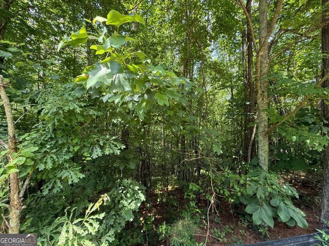 LOT E9 Reece Mountain Road, Ellijay, GA 30536