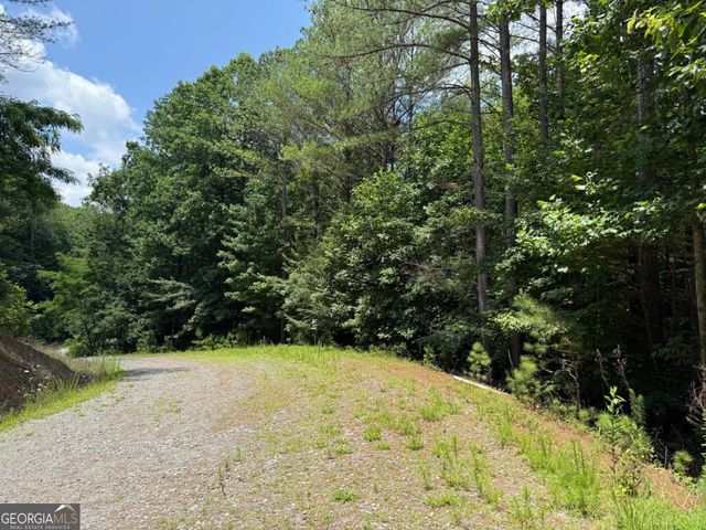 LOT E9 Reece Mountain Road, Ellijay, GA 30536