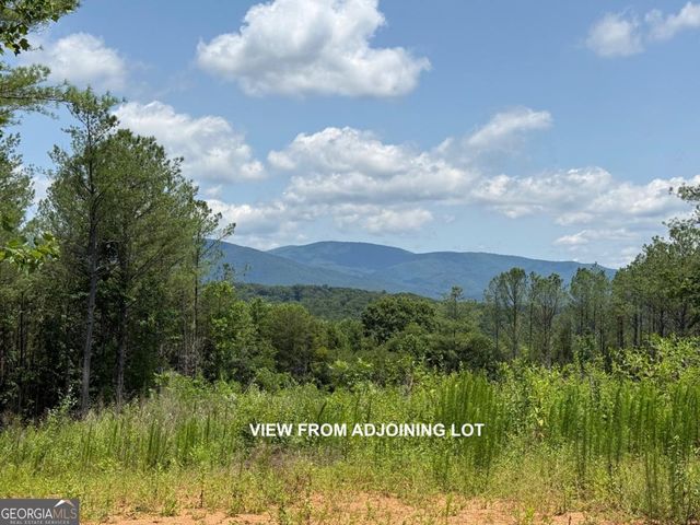 LOT E9 Reece Mountain Road, Ellijay, GA 30536