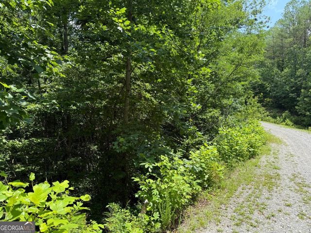LOT E9 Reece Mountain Road, Ellijay, GA 30536