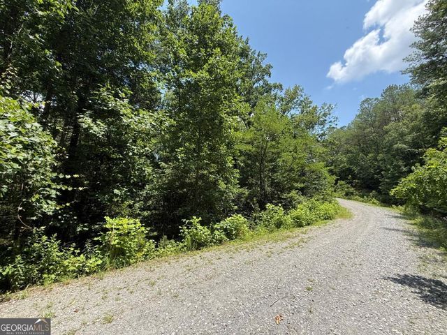 LOT E9 Reece Mountain Road, Ellijay, GA 30536