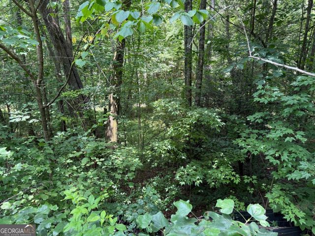 LOT E9 Reece Mountain Road, Ellijay, GA 30536