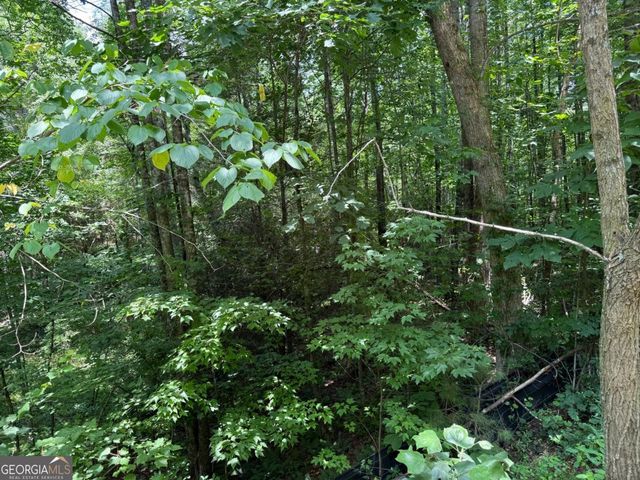 LOT E9 Reece Mountain Road, Ellijay, GA 30536
