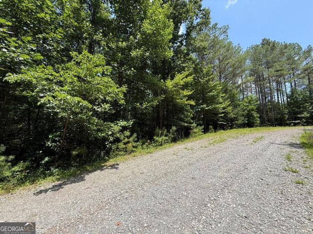 LOT E9 Reece Mountain Road, Ellijay, GA 30536