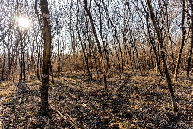 19249 State Highway 56, Richland Center, WI 53581