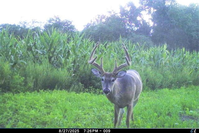 19249 State Highway 56, Richland Center, WI 53581