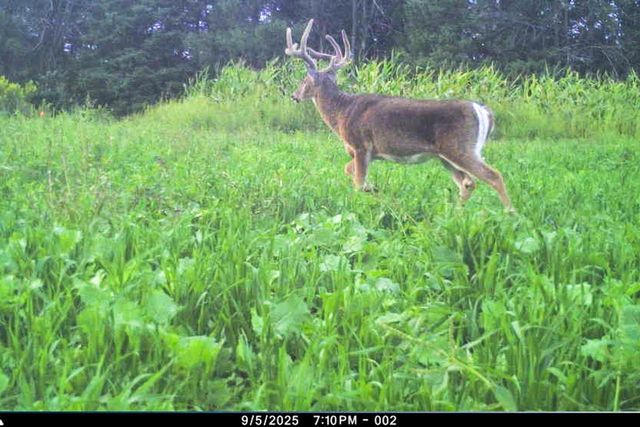 19249 State Highway 56, Richland Center, WI 53581