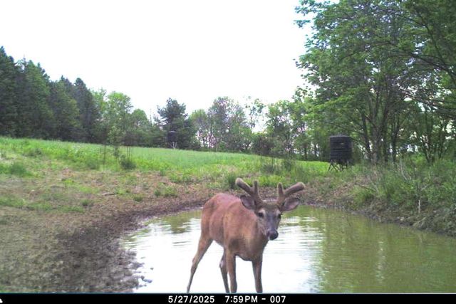 19249 State Highway 56, Richland Center, WI 53581