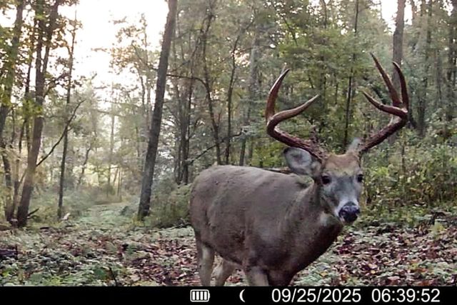 19249 State Highway 56, Richland Center, WI 53581