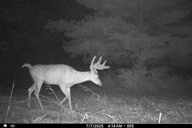 19249 State Highway 56, Richland Center, WI 53581