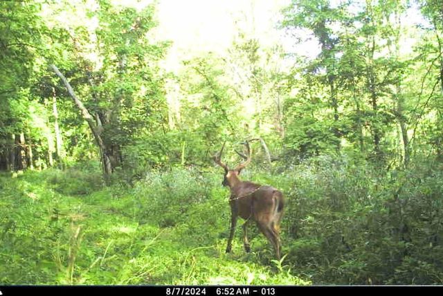 19249 State Highway 56, Richland Center, WI 53581