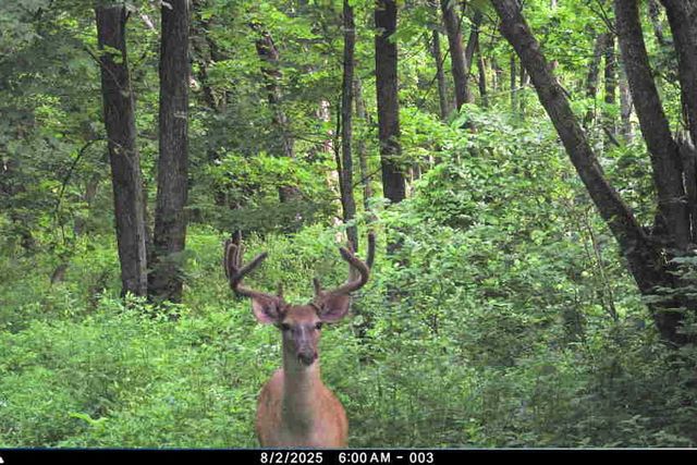 19249 State Highway 56, Richland Center, WI 53581