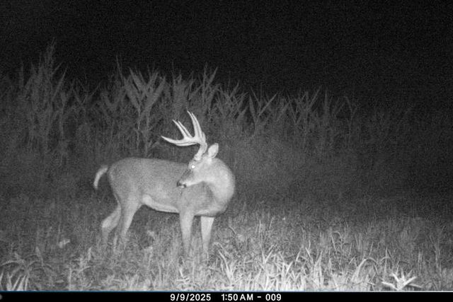 19249 State Highway 56, Richland Center, WI 53581