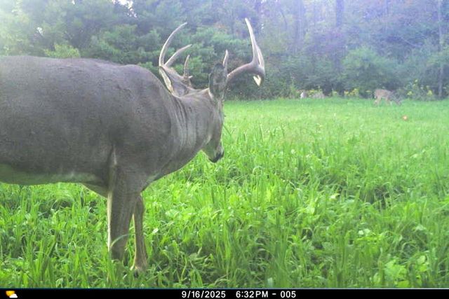 19249 State Highway 56, Richland Center, WI 53581