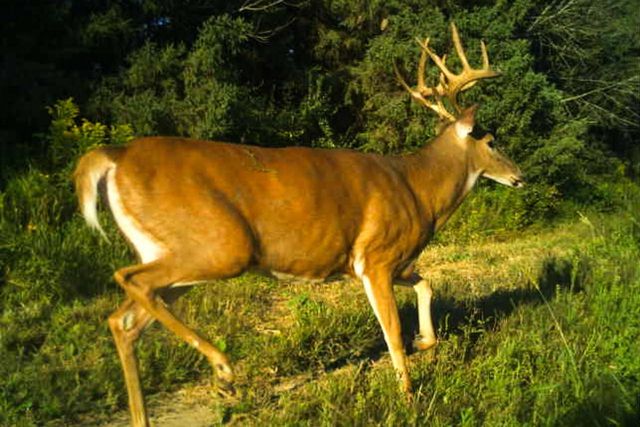 19249 State Highway 56, Richland Center, WI 53581