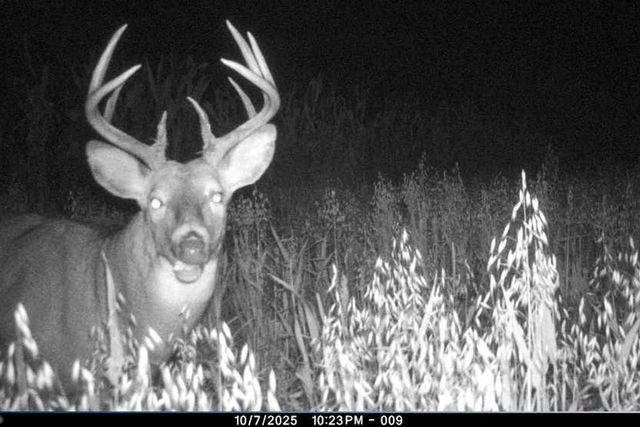 19249 State Highway 56, Richland Center, WI 53581