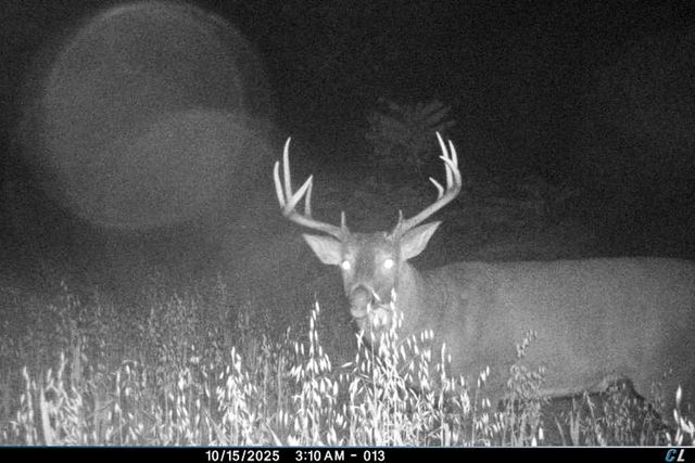 19249 State Highway 56, Richland Center, WI 53581