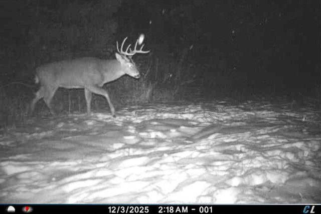 19249 State Highway 56, Richland Center, WI 53581