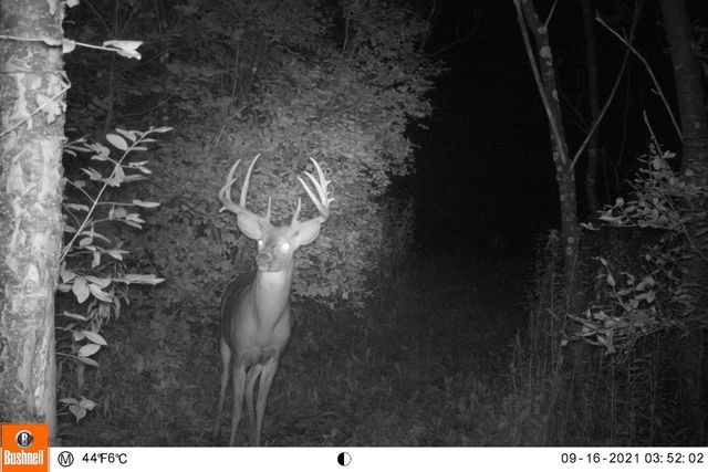 19249 State Highway 56, Richland Center, WI 53581