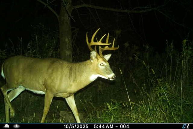 19249 State Highway 56, Richland Center, WI 53581