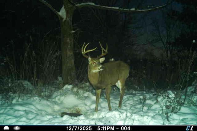 19249 State Highway 56, Richland Center, WI 53581