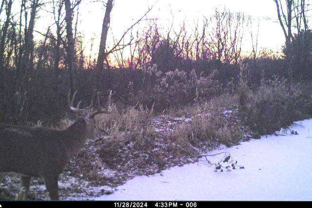 19249 State Highway 56, Richland Center, WI 53581