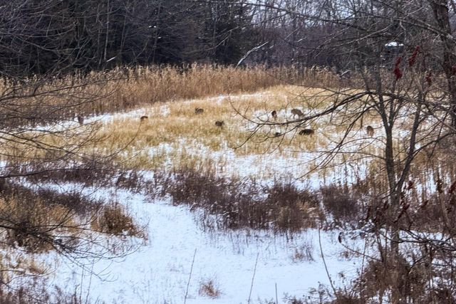 19249 State Highway 56, Richland Center, WI 53581