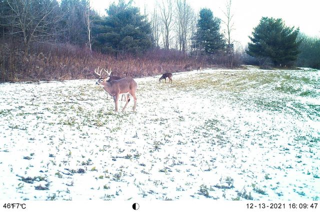 19249 State Highway 56, Richland Center, WI 53581