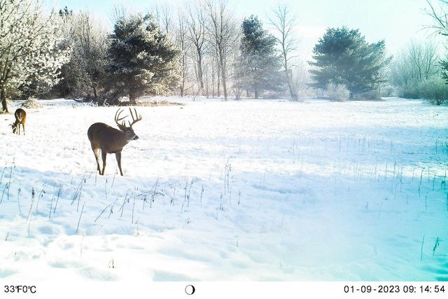 19249 State Highway 56, Richland Center, WI 53581