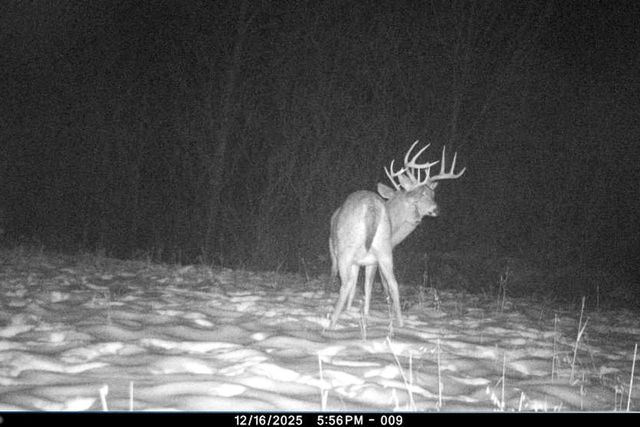 19249 State Highway 56, Richland Center, WI 53581