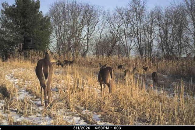 19249 State Highway 56, Richland Center, WI 53581