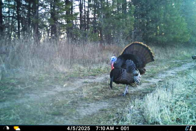 19249 State Highway 56, Richland Center, WI 53581