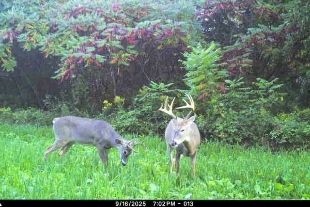 19249 State Highway 56, Richland Center, WI 53581