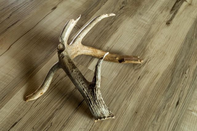 19249 State Highway 56, Richland Center, WI 53581